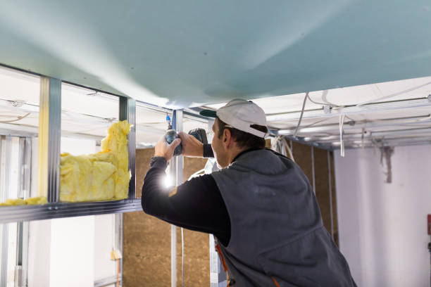 Best Energy-Efficient Insulation  in Bridgeport, AL