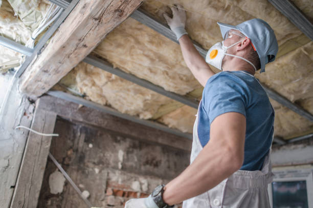 Best Insulation Contractors for Homes  in Bridgeport, AL