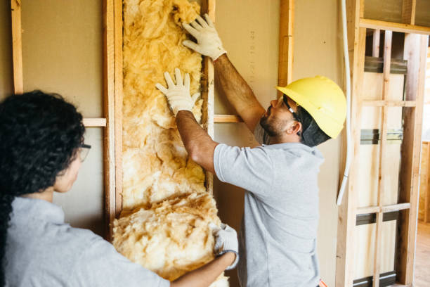 Insulation Inspection Services in Bridgeport, AL