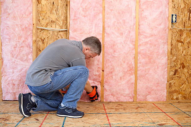 Best Insulation Inspection Services  in Bridgeport, AL